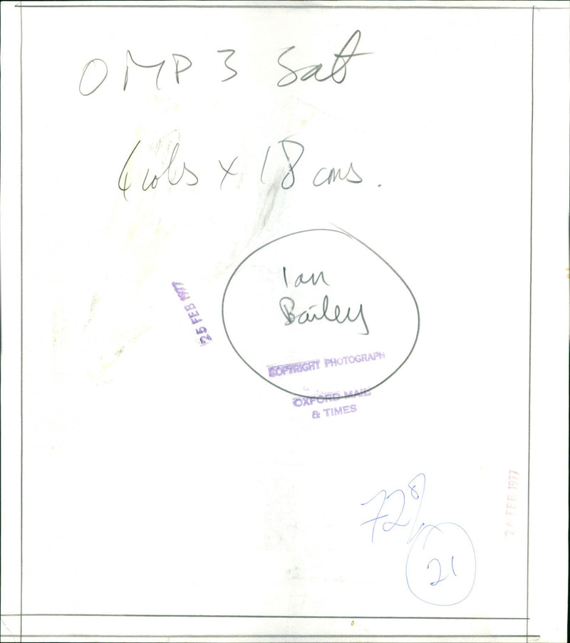 Mr. Bailey - Vintage Photograph