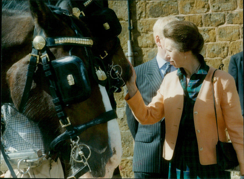 Princess Anne - Vintage Photograph