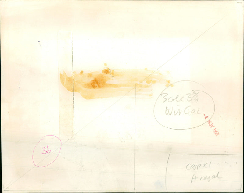 Princess Anne - Vintage Photograph