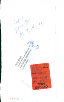 Paula Abbott - Vintage Photograph