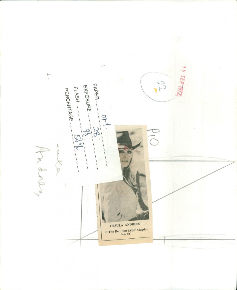 Ursula Andress - Vintage Photograph