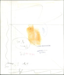 Prince of Wales - Vintage Photograph