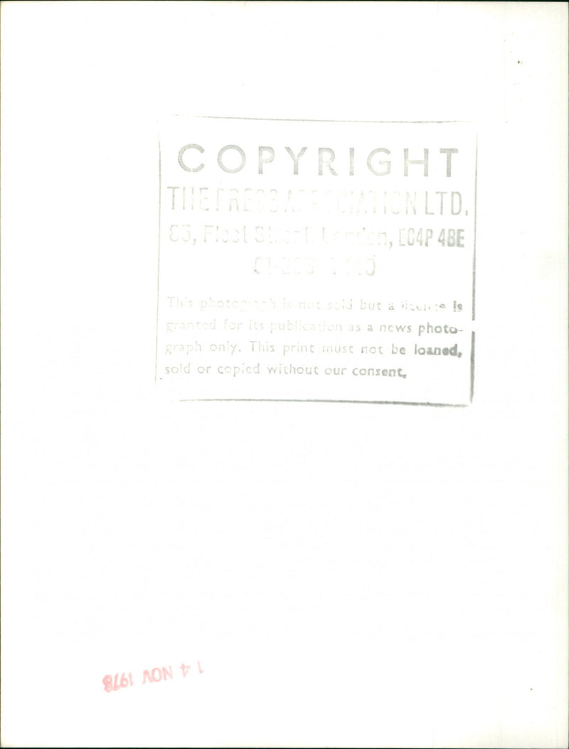 Prince of Wales - Vintage Photograph