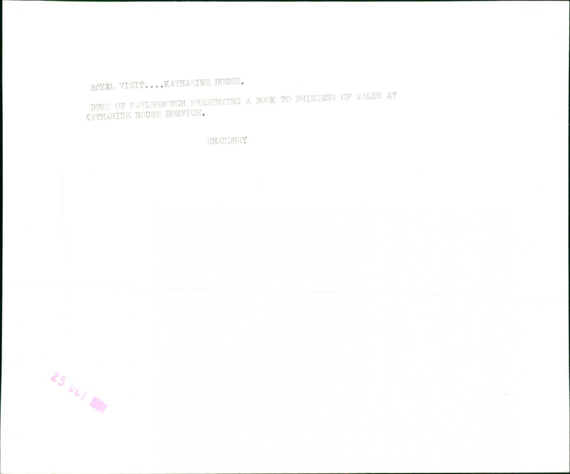 Princess of Wales - Vintage Photograph