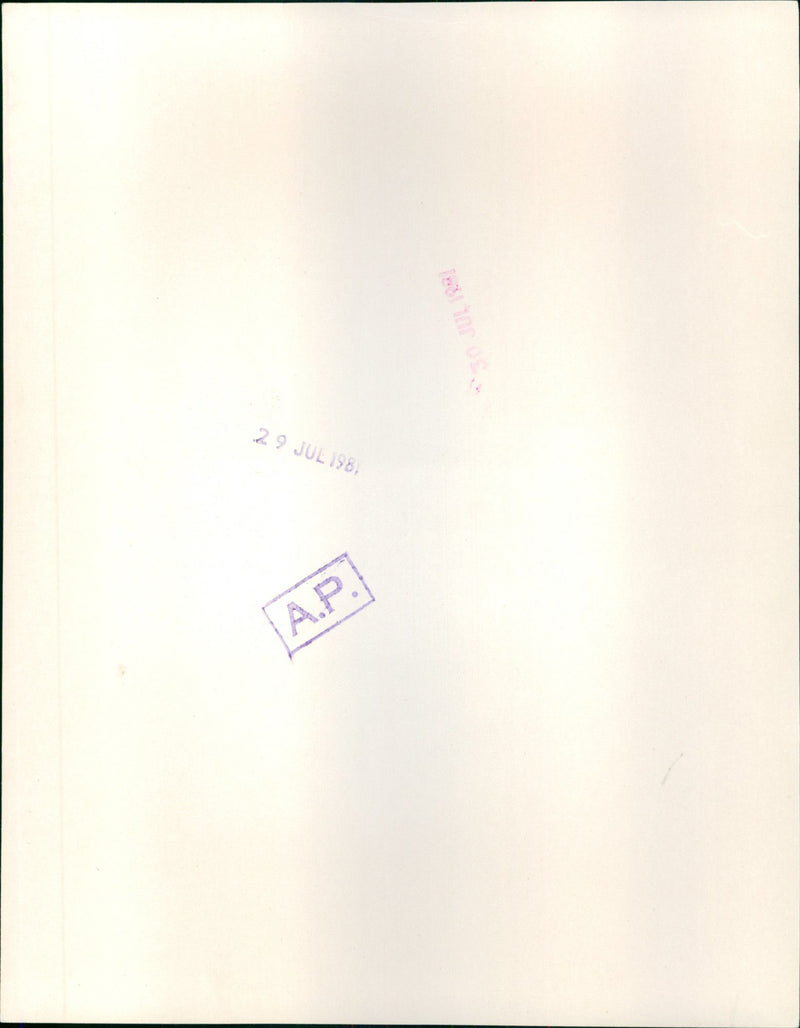 Royal Wedding - Vintage Photograph