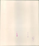 Prince Charles & Princess of Wales - Vintage Photograph