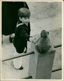 Prince Charles - Vintage Photograph