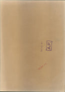 Kurt Waldheim - Vintage Photograph