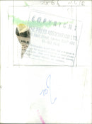 Prince Charles & Princess Diana - Vintage Photograph