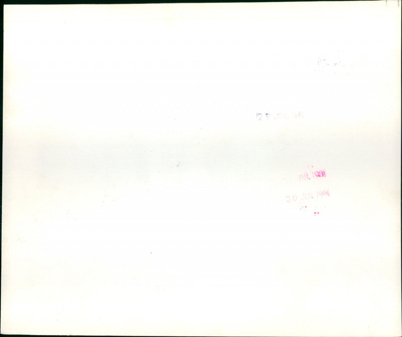 Prince of Wales and his bride - Vintage Photograph