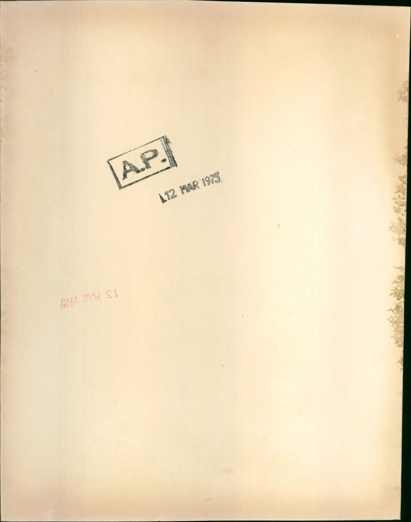 Pierre Elliot Trudeau - Vintage Photograph