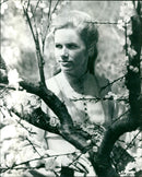 Liv Ullman - Vintage Photograph