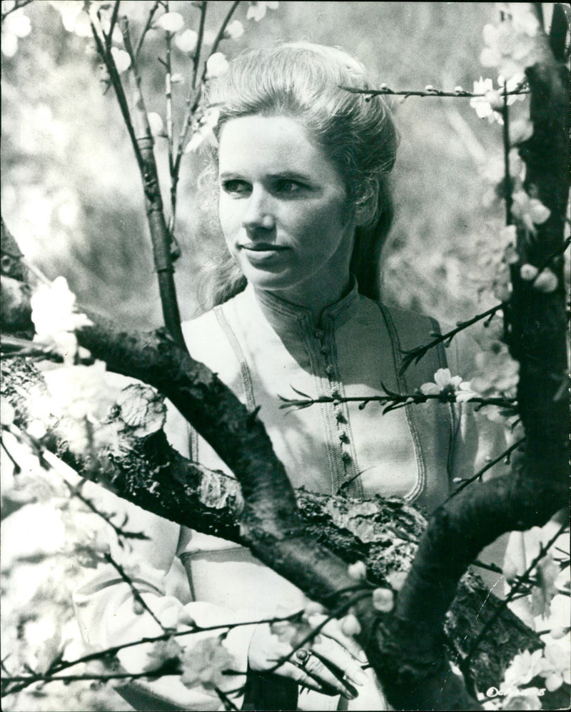 Liv Ullman - Vintage Photograph
