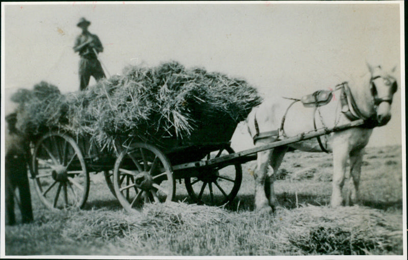 Benny Buckingham - Vintage Photograph