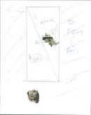 Liv Ullman - Vintage Photograph