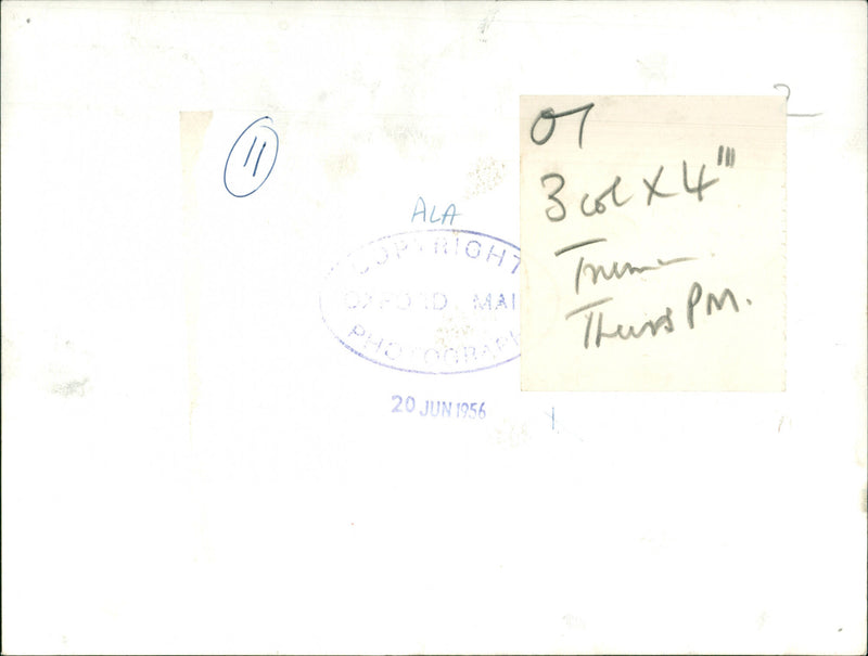 Harry S. Truman - Vintage Photograph