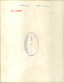 Harry S. Truman - Vintage Photograph