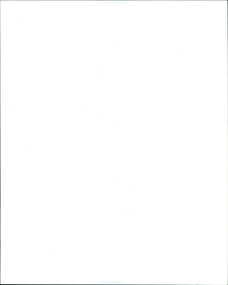 Bonnie Tyler - Vintage Photograph