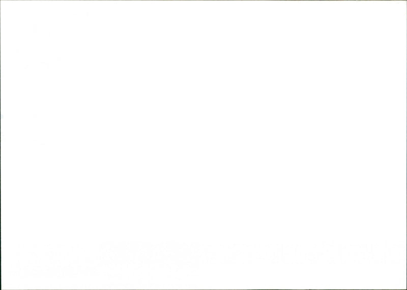 Bran Van 3000 - Vintage Photograph