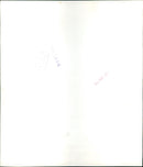 Charlie Nicholas - Vintage Photograph