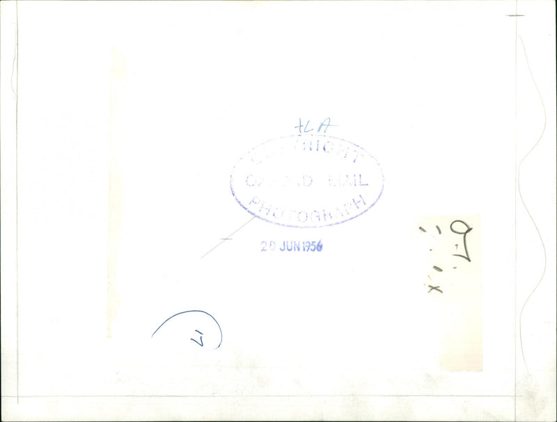 Harry S. Truman - Vintage Photograph