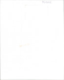 Joan Baez - Vintage Photograph