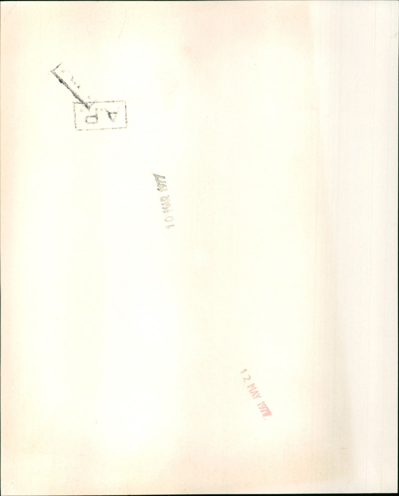 Margaret Trudeau - Vintage Photograph