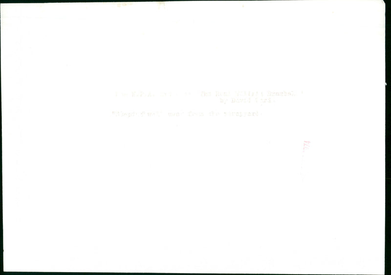 Wilfrid Brambell - Vintage Photograph