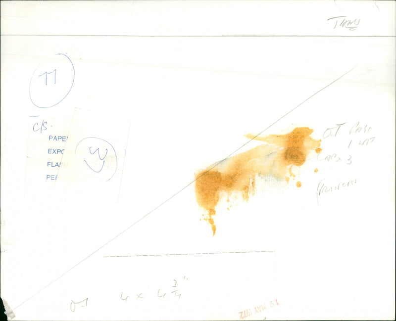 Princess Anne - Vintage Photograph