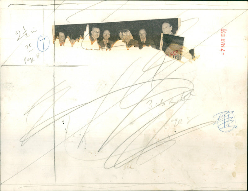 Greyhound racing winner - Vintage Photograph