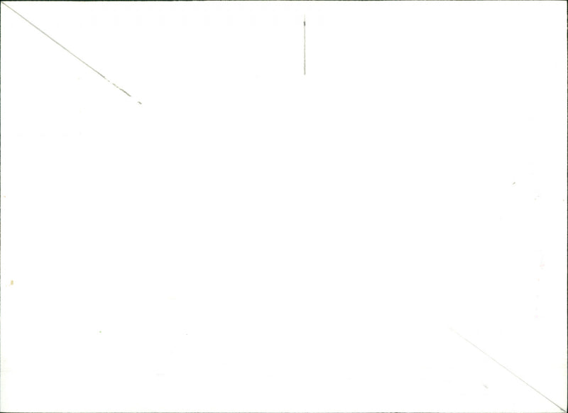 Wally Wachowski - Vintage Photograph