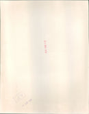 Menachem Begin - Vintage Photograph