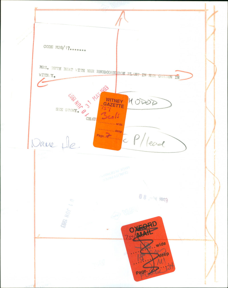 Ruth Beat - Vintage Photograph