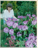 Ruth Beat - Vintage Photograph