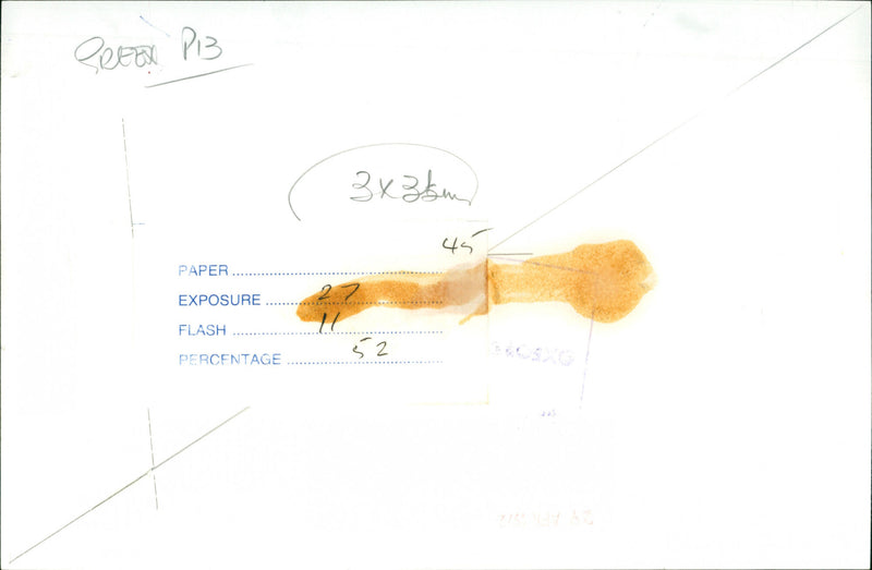 People at dinner - Vintage Photograph