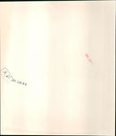 Margaret Trudeau - Vintage Photograph