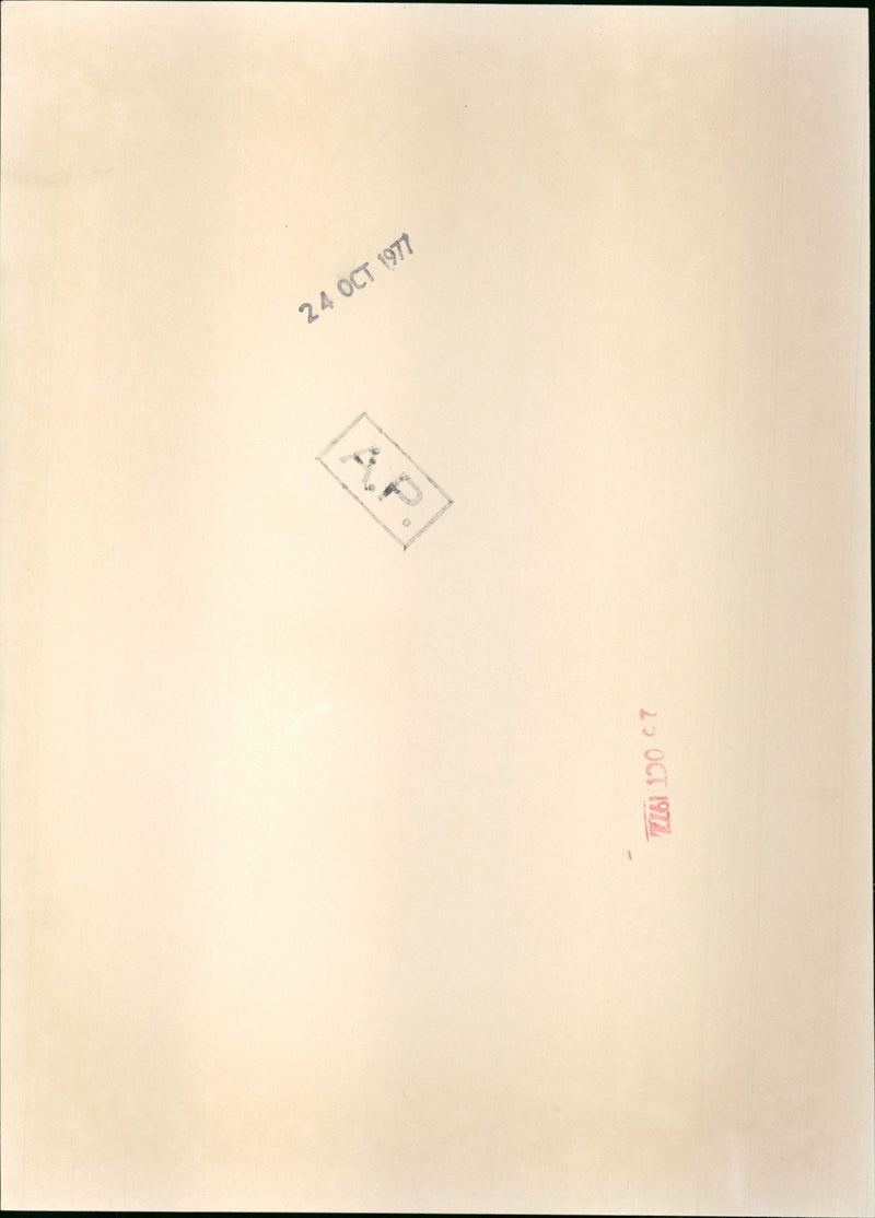 Margaret Trudeau - Vintage Photograph