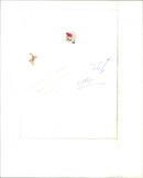 Patricia Brake - Vintage Photograph