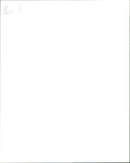 The Untouchables - Vintage Photograph