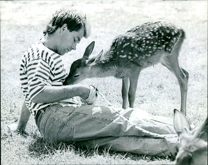 Robert Allen - Vintage Photograph