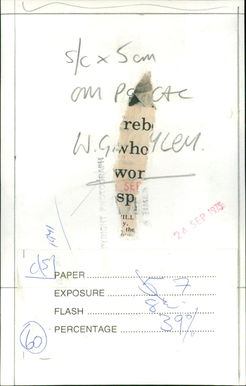 William G. Bayley - Vintage Photograph