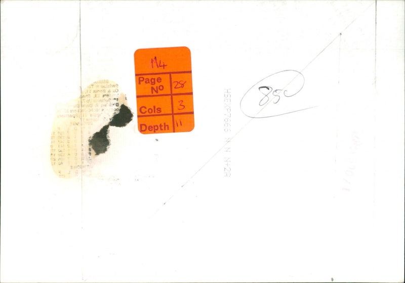 Winners of a Tournament - Vintage Photograph