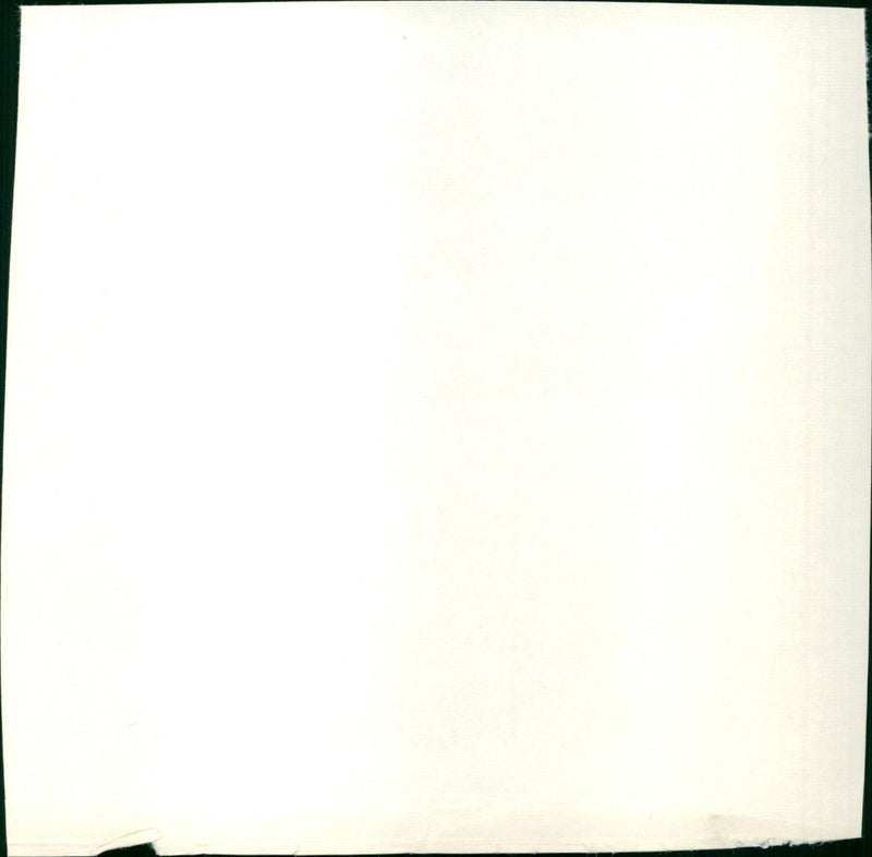 Wilson Ian - Vintage Photograph