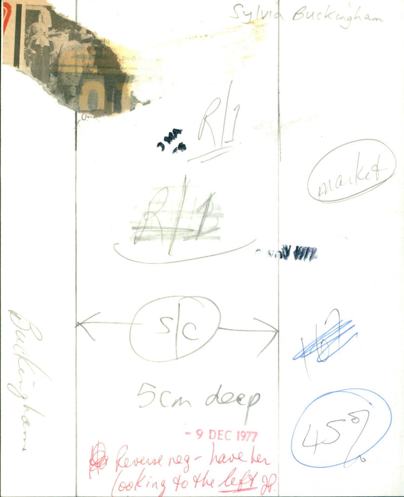 Sylvia Buckingham - Vintage Photograph