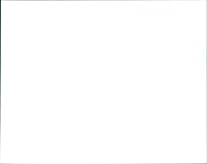 The Untouchables - Vintage Photograph