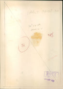 Princess Anne - Vintage Photograph