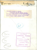 Harry S. Truman - Vintage Photograph