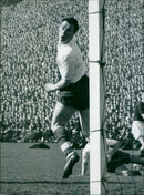 Ramon Wilson - Vintage Photograph