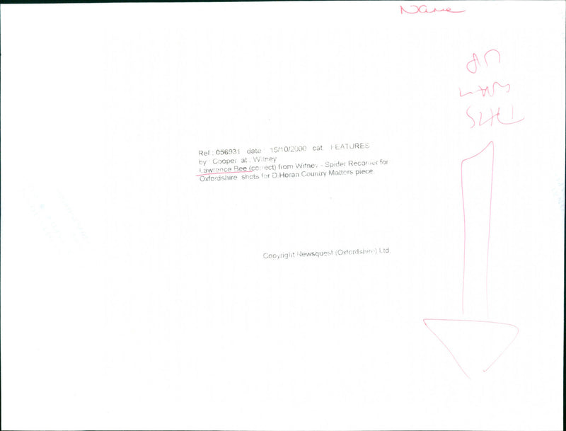 Lawrence Bee - Vintage Photograph