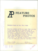 Richard Todd - Vintage Photograph